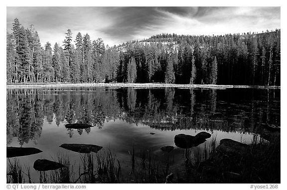 Boulders and reflections, Siesta Lake, afternoon. Yosemite National Park (black and white)