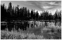 Siesta Lake with Shrubs in autumn colors. Yosemite National Park, California, USA. (black and white)