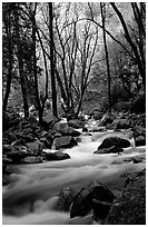 Creek at the base of Bridalveil Falls. Yosemite National Park ( black and white)