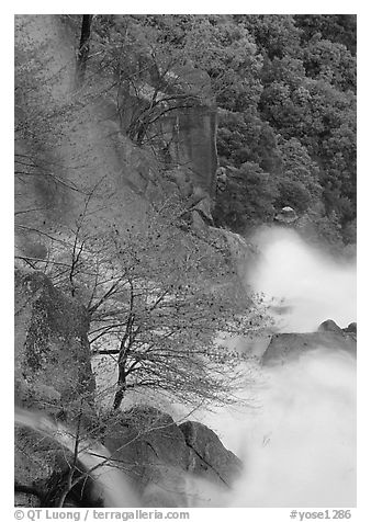 Cascade Creek spring run-off. Yosemite National Park (black and white)