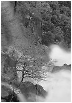 Cascade Creek spring run-off. Yosemite National Park, California, USA. (black and white)