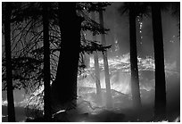 Prescribed fire. Yosemite National Park, California, USA. (black and white)