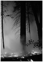 Managed fire. Yosemite National Park, California, USA. (black and white)