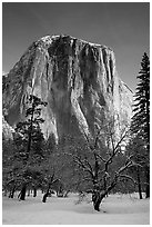 West face of El Capitan in winter. Yosemite National Park ( black and white)