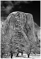 West face of El Capitan in winter. Yosemite National Park ( black and white)