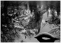 Reflections in Mirror Lake, winter afternoon. Yosemite National Park ( black and white)