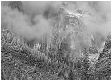 Trees, cliffs and mist. Yosemite National Park, California, USA. (black and white)