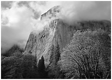 El Capitan with clouds shrouding summit. Yosemite National Park ( black and white)