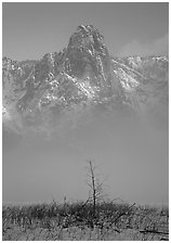 Sentinel rock rising above fog on valley in winter. Yosemite National Park, California, USA. (black and white)