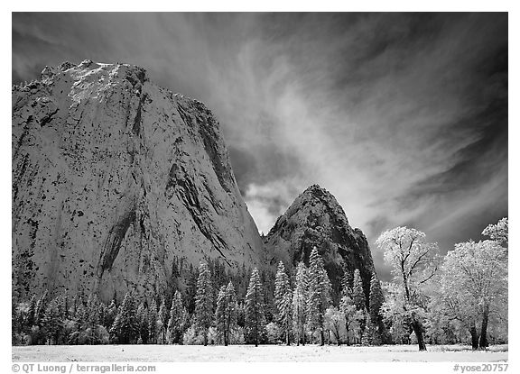 El Capitan Meadow and Cathedral Rocks with fresh snow. Yosemite National Park, California, USA.