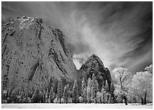 El Capitan Meadow and Cathedral Rocks with fresh snow. Yosemite National Park ( black and white)