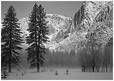 Awhahee Meadow and Yosemite falls wall with snow, early winter morning. Yosemite National Park ( black and white)