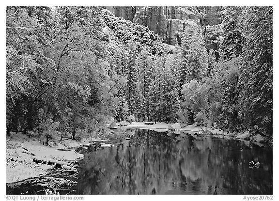 Snowy trees and rock wall reflected in Merced River. Yosemite National Park, California, USA.