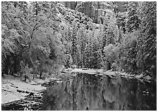 Snowy trees and rock wall reflected in Merced River. Yosemite National Park, California, USA. (black and white)