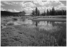 Spring pond in Tuolumne Meadows and Lambert Dome. Yosemite National Park ( black and white)