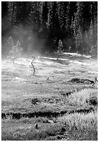 Mist raises from Tuolumne Meadows on a autumn morning. Yosemite National Park, California, USA. (black and white)