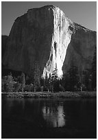 El Capitan reflected in Merced river, early morning. Yosemite National Park, California, USA. (black and white)