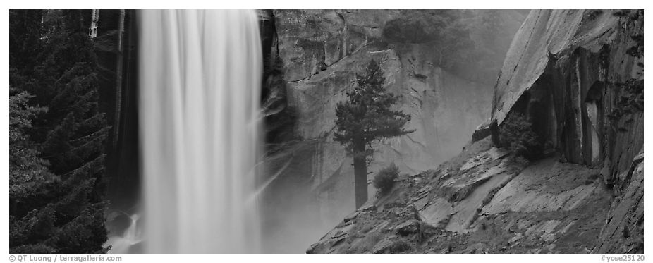 Vernal Fall and tree. Yosemite National Park (black and white)