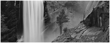 Vernal Fall and tree. Yosemite National Park (Panoramic black and white)
