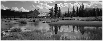 Lambert Dome reflected in seasonal Tuolume Meadows pond. Yosemite National Park (Panoramic black and white)