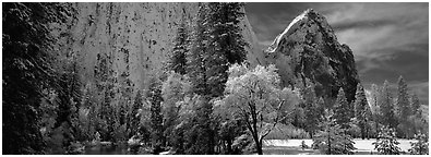 Cathedral rocks in winter. Yosemite National Park (Panoramic black and white)