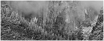 Cliffs and distant snowy trees. Yosemite National Park (Panoramic black and white)