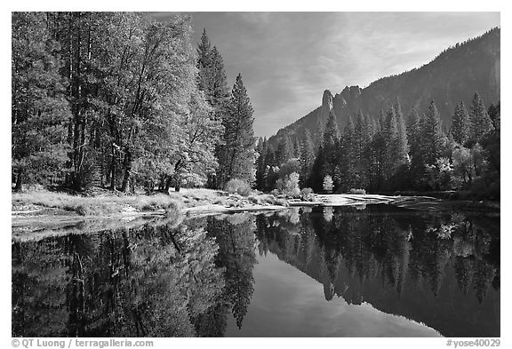 Merced River with fall colors and Sentinel Rocks reflections. Yosemite National Park (black and white)