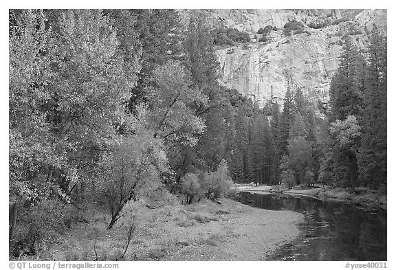 Merced River at the base of El Capitan in autumn. Yosemite National Park (black and white)