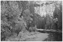 Merced River at the base of El Capitan in autumn. Yosemite National Park ( black and white)