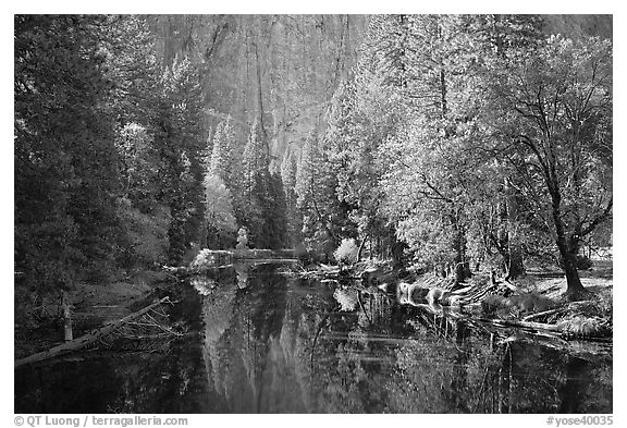 Merced River, trees, and rock wall. Yosemite National Park (black and white)