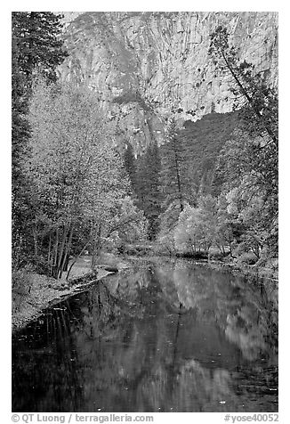 Trees in autumn foliage reflected in Merced River. Yosemite National Park (black and white)
