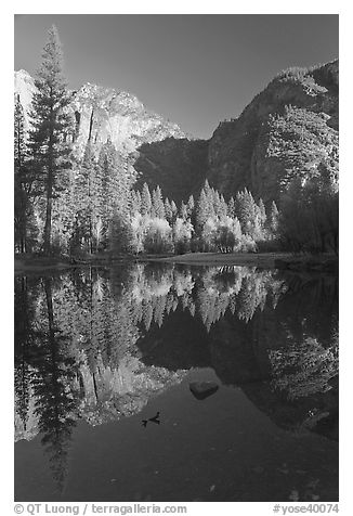 Autumn morning reflections, Merced River. Yosemite National Park (black and white)