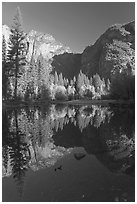 Autumn morning reflections, Merced River. Yosemite National Park ( black and white)