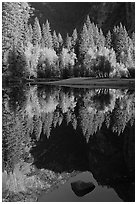 Reflections and rock, Merced River. Yosemite National Park ( black and white)