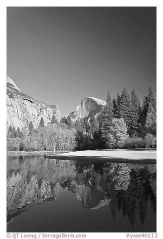 Trees in fall foliage and Half-Dome reflected in Merced River. Yosemite National Park (black and white)