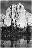 El Capitan and Merced River, morning. Yosemite National Park ( black and white)