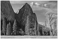El Capitan Meadow and Cathedral Rocks in autumn. Yosemite National Park ( black and white)