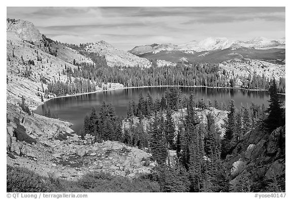 May Lake, granite domes, and forest. Yosemite National Park (black and white)