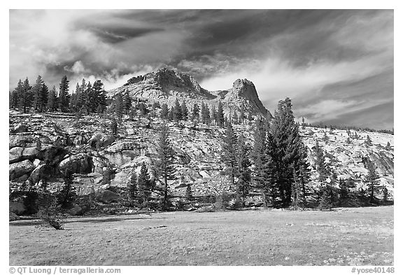 Meadow and Mount Hoffman. Yosemite National Park (black and white)