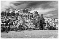 Meadow and Mount Hoffman. Yosemite National Park ( black and white)