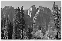 Cathedral Rocks seen from Sentinel Meadow. Yosemite National Park ( black and white)