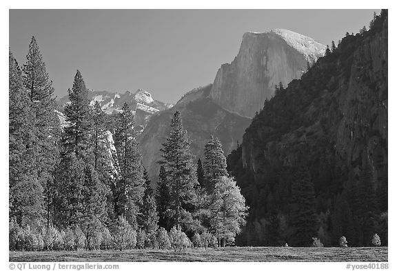 Half-Dome seen from Sentinel Meadow. Yosemite National Park (black and white)