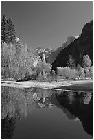 Trees in autum foliage, Half-Dome, and cliff reflected in Merced River. Yosemite National Park ( black and white)