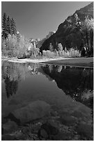 Rocks and Merced River reflections of trees and Half-DOme. Yosemite National Park ( black and white)
