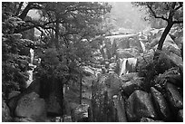 Lower Chilnualna Falls. Yosemite National Park ( black and white)