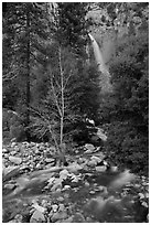 Lower falls, Cascade Creek. Yosemite National Park ( black and white)