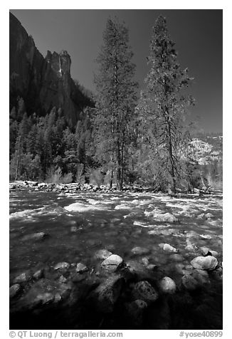 Rostrum, tall trees, and Merced River. Yosemite National Park, California, USA.