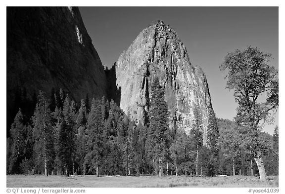Cathedral Rocks in spring. Yosemite National Park (black and white)