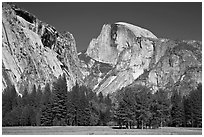 Half Dome and Washington Column from Ahwanhee Meadow in Spring. Yosemite National Park ( black and white)