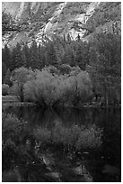 Refections and green trees, Mirror Lake. Yosemite National Park ( black and white)